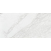 Daltile Perpetuo - 12" x 24" Rectangle Floor and Wall Tile - Polished Visual - Sold by Carton (17.01 SF/Carton) Brilliant White