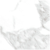 Daltile Sample Only of PT24241LF Brilliant White