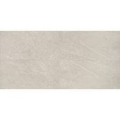 Daltile Resilience - 12" x 24" Rectangle Floor and Wall Tile - Matte Visual - Sold by Carton (15.04 SF/Carton) Dynamic Beige