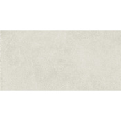 Daltile Sample Only of RT12241P Aristotle White