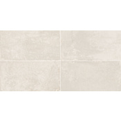 Daltile Sample Only of UB1224P White