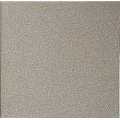 Daltile Quarry Textures - 8" x 8" Square Floor and Wall Tile - Textured Visual - Sold by Carton (11.11 SF/Carton) Ashen Gray