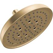 Delta Universal Showering 2.5 GPM Multi Function Rain Shower Head Lumicoat Champagne Bronze