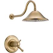 Delta Cassidy Shower Only Trim Package with 2.5 GPM Single Function Shower Head Champagne Bronze
