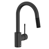 DXV Etre 1.8 GPM Single Hole Pull Down Faucet Matte Black