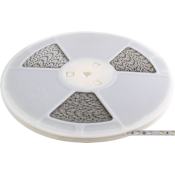 Elco Ambio 100' Long 3000K 24V LED Tape Light - 124 Lumens N/A
