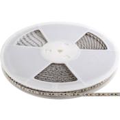 Elco Ambio 100' Long 3000K 24V LED Tape Light - 250 Lumens N/A