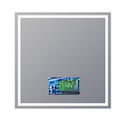 Electric Mirror Integrity 42" W x 42" H Rectangular Frameless Bathroom Wall Mirror with Light N/A