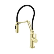 Elegant Lighting Leonardo 1.8 GPM Single Hole Pull Down Kitchen Faucet Brushed Gold