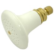 Elements Of Design 5" Single Function Shower Head with 64 Jets and 1/2 " IPS Connection from the Colonial Collection Polished Brass (PVD)