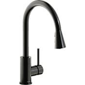 Elkay Avado 1.8 GPM Single Hole Pull Down Kitchen Faucet - Includes Escutcheon Black Stainless
