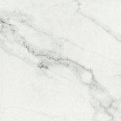 Emser Tile Contessa - 13" x 13" Square Floor and Wall Tile - Matte Visual - Sold by Pallet (700.86 SF/Pallet) Dama