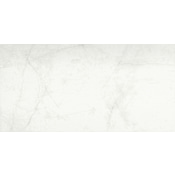 Emser Tile Sterlina II - 12" x 24" Rectangle Floor and Wall Tile - Polished Visual - Sold by Carton (15.5 SF/Carton) White