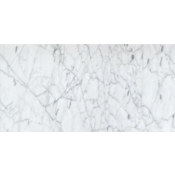 Emser Tile Marble - 12" x 24" Solid Wall Tile - Polished Visual - Sold by Piece (2 SF/Piece) Nantes