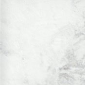 Emser Tile Marble - 24" x 24" Square Floor and Wall Tile - Polished Visual - Sold by Pallet (720.9 SF/Pallet) Kalta Bianco