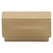 Emtek Cinder 2-1/4 Inch Rectangular Cabinet Knob from the Urban Modern Collection Satin Brass