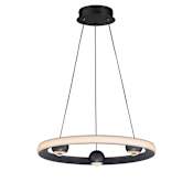 ET2 Nodes 18" Wide LED Ring Chandelier Black