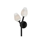 ET2 Blossom 2 Light 19" Tall LED Wall Sconce Black