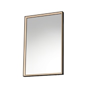 ET2 Bevel 24" W x 30" H Transitional Rectangular Framed Bathroom Wall Mirror with LED Lighting Brushed Black
