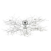 Eurofase Lighting Autumn 20 Light 45" Wide Flush Mount Ceiling Fixture / Wall Sconce Chrome