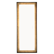 Eurofase Lighting Anya 26" W x 65" H Modern Rectangular Bathroom Wall Mirror with LED Lighting Black
