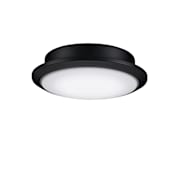 Fanimation Wrap Custom 8" Wide Single LED Ceiling Fan Light Kit Black