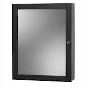 Foremost Columbia 19" Mirrored Medicine Cabinet with 2 Shelves and Left Opening Door Black