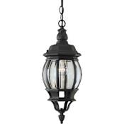 Forte Lighting Outdoor Pendant from the Exterior Lighting Collection Black