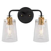 Forte Lighting Ronna 2 Light 15" Wide Bathroom Vanity Light Black and Soft Gold