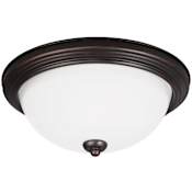 Generation Lighting Geary 2 Light 13" Wide Flush Mount Bowl Ceiling Fixture Bronze