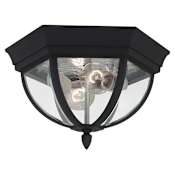 Generation Lighting Wynfield 2 Light 13" Wide Outdoor Flush Mount Bowl Ceiling Fixture with Clear Glass Black
