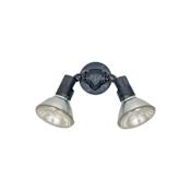 Generation Lighting 2 Light 11" Tall Outdoor Flood Light Black