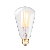 Globe Electric Vintage Edison S-Type 60W 2200K Medium (E26) Incandescent Light Bulb N/A