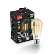 Globe Electric Single 5.5 Watt Vintage Edison ST19 Medium (E26) LED Bulb - 500 Lumens, 2000K, and 80CRI Amber