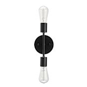 Globe Electric Alexandria 2 Light 5" Tall Wall Sconce Matte Black