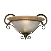 Golden Lighting Single Light Wall Washer from the Meridian Collection Golden Bronze