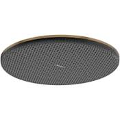 Hansgrohe Raindance Alive S 2.5 GPM Multi Function Shower Head Brushed Bronze