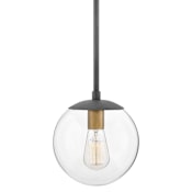 Hinkley Lighting Warby 1 Light 10" Wide Globe Pendant with Clear Glass Aged Zinc