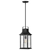 Hinkley Lighting 9" Wide Outdoor Pendant with Seedy Glass Textured Black