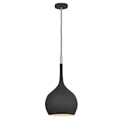 Hinkley Lighting Ziggy Single Light 12" Wide Pendant Black