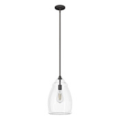 Hunter Dunshire 10" Wide Mini Pendant Noble Bronze / Clear Glass