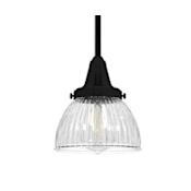 Hunter Cypress Grove 7" Wide Mini Pendant Natural Iron