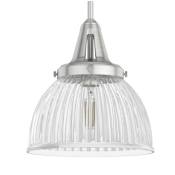 Hunter Cypress Grove 10" Wide Mini Pendant Brushed Nickel