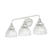 Hunter Cypress Grove 3 Light 24" Wide Bathroom Vanity Light Brushed Nickel