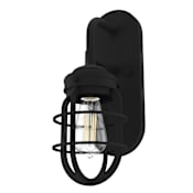 Hunter Starklake 15" Tall Wall Sconce Natural Iron