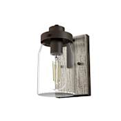 Hunter Devon Park 9" Tall Wall Sconce Onyx Bengal