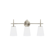 James Allan Watson 3 Light 25" Wide LED Vanity Light with Cased Opal Etched Shade Brushed Nickel
