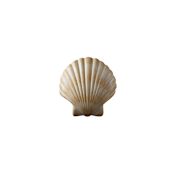 Justice Design Group Ambiance 10.75" ADA Compliant Wall Sconce Scallop Shell