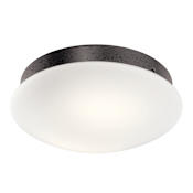 Kichler Ried Dimmable LED Light Kit with Etched Cased Opal Glass Shade Anvil Iron