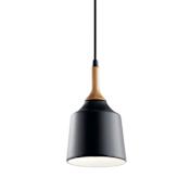 Kichler Danika Single Light 5" Wide Mini Pendant with Wood Accent Black